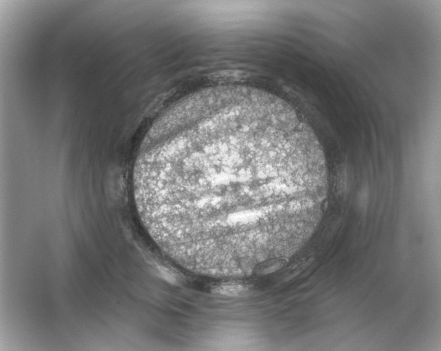 X0000065970759200603241913