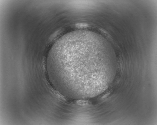 X0000065970762200603241913