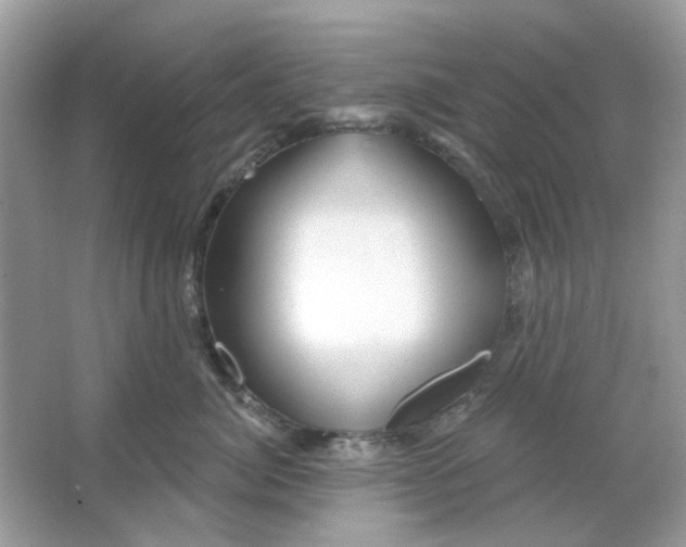 X0000065970764200603241913