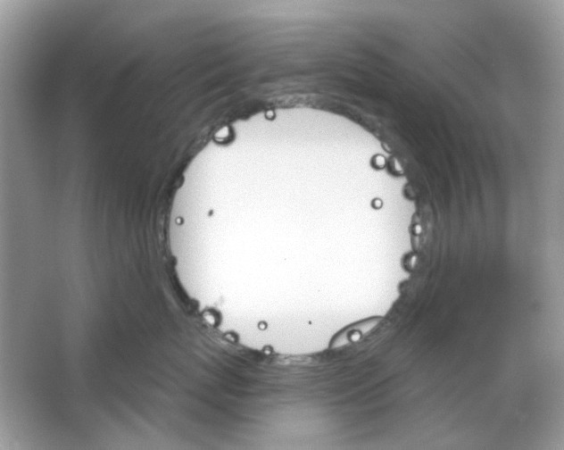 X0000065970767200603241913