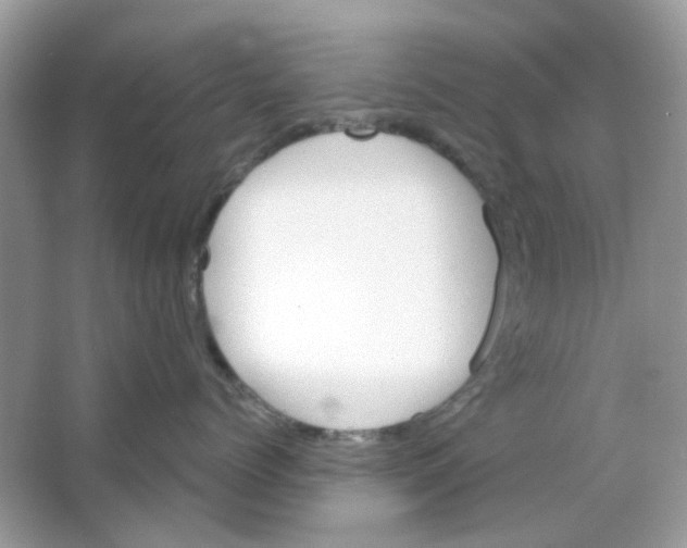 X0000065970768200603241913