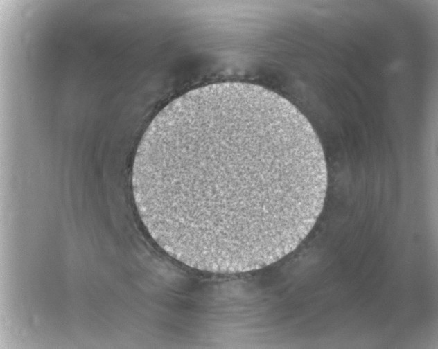 X0000065970769200603241912