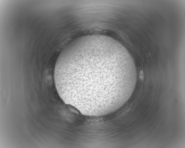 X0000065970771200603241912