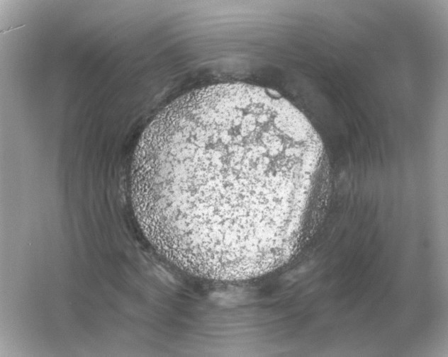 X0000065970772200603241912