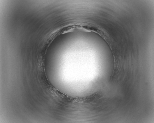 X0000065970773200603241912