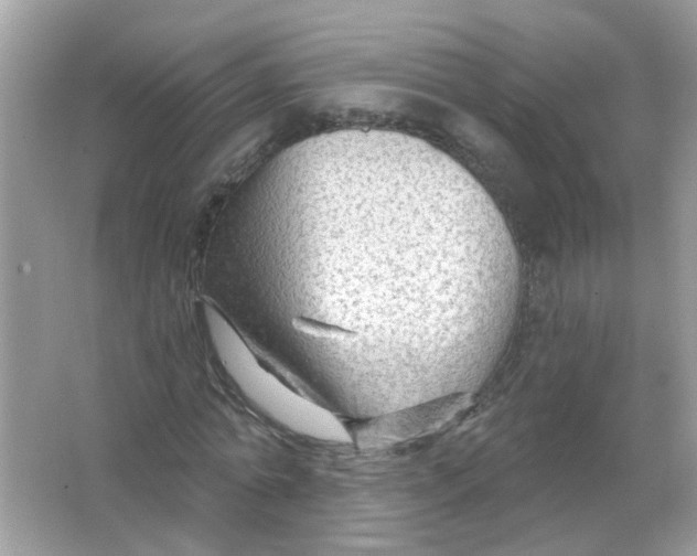 X0000065970774200603241912