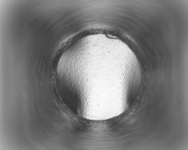 X0000065970775200603241912