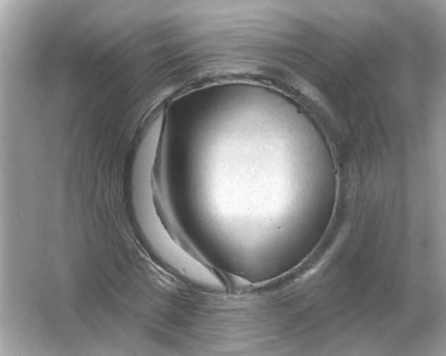 X0000065970777200603241912