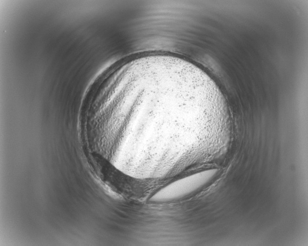 X0000065970780200603241912