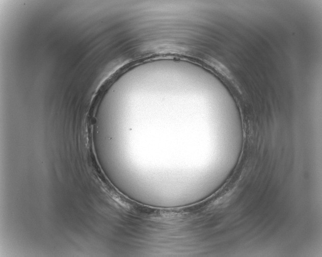 X0000065970782200603241912