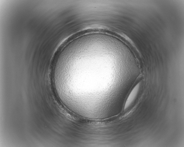 X0000065970783200603241912