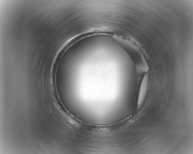 X0000065970784200603241912