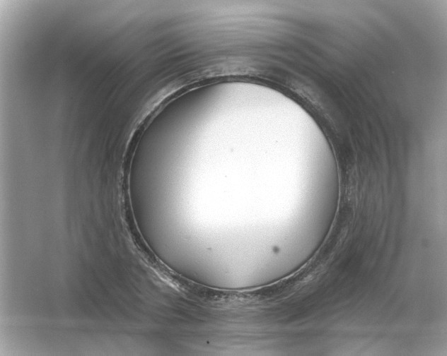 X0000065970786200603241912