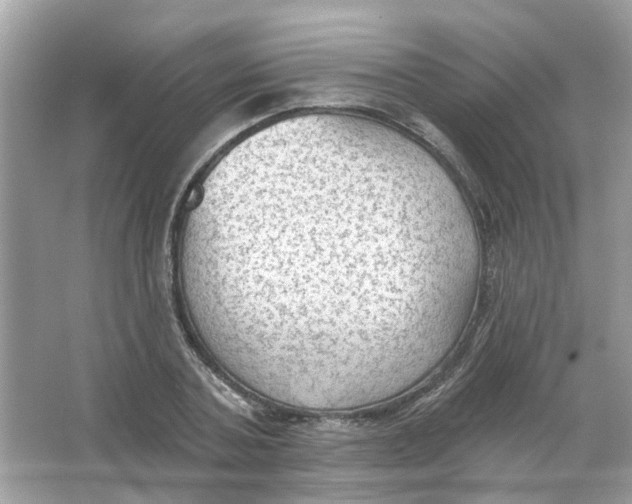 X0000065970787200603241912