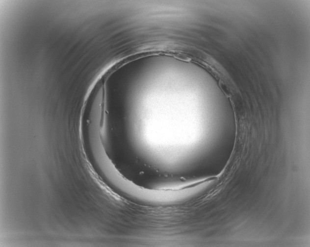 X0000065970788200603241912