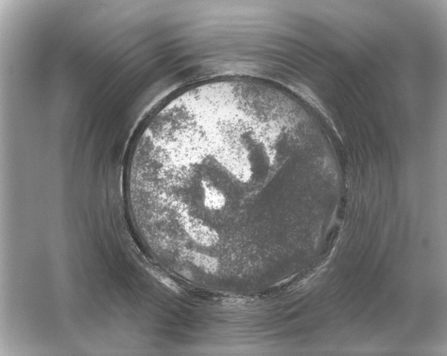 X0000065970790200603241912