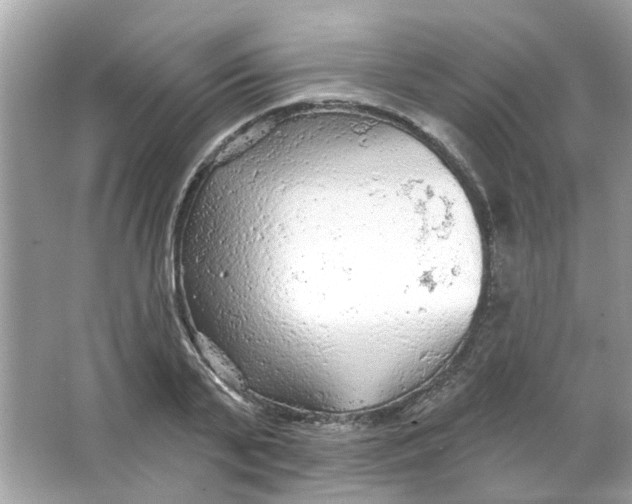 X0000065970791200603241912