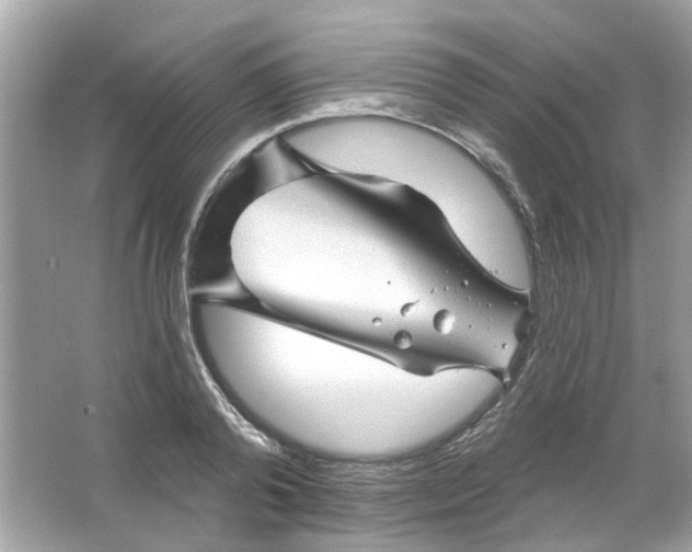 X0000065970792200603241912