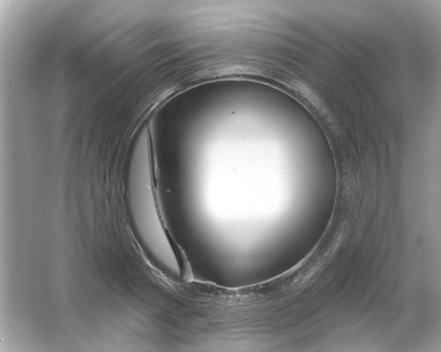 X0000065970793200603241912