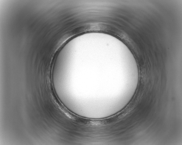 X0000065970794200603241912