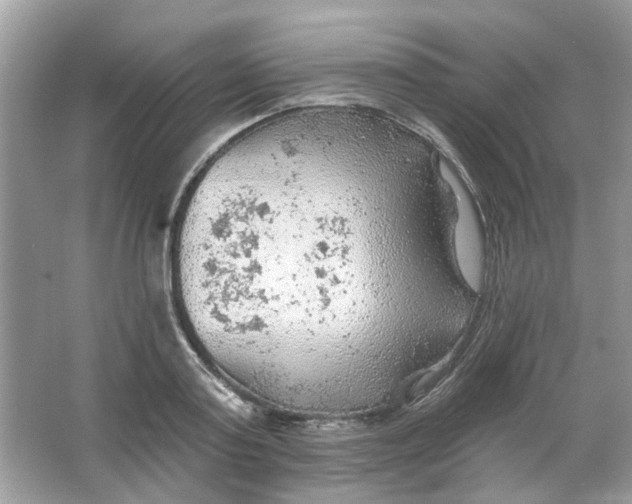 X0000065970795200603241912