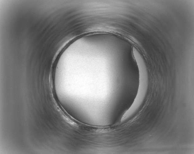 X0000065970796200603241912