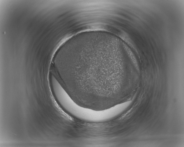 X0000065970797200603241912