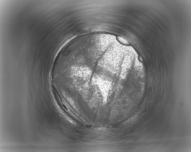 X0000065970798200603241912