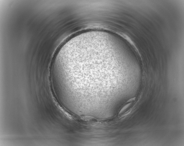 X0000065970799200603241912