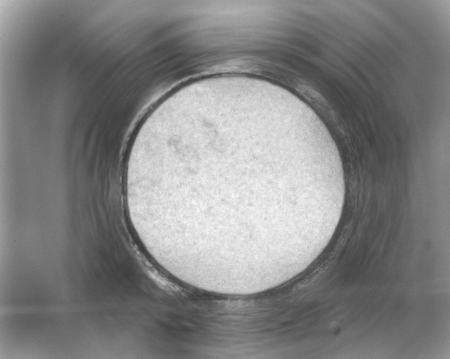 X0000065970800200603241912