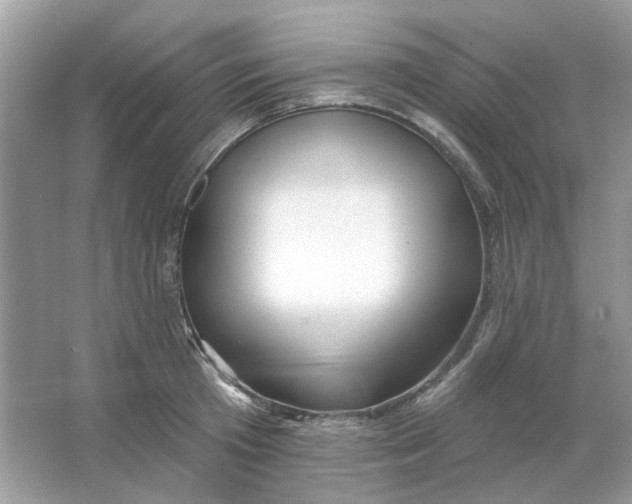 X0000065970801200603241912