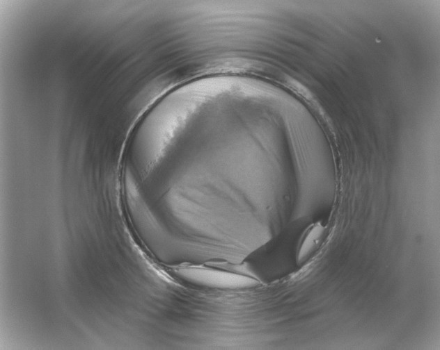 X0000065970802200603241912