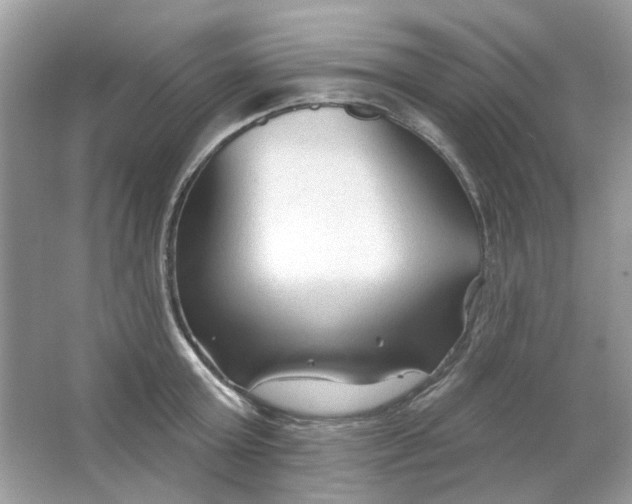 X0000065970803200603241912