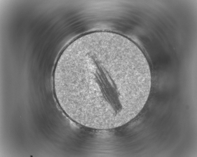 X0000065970807200603241912