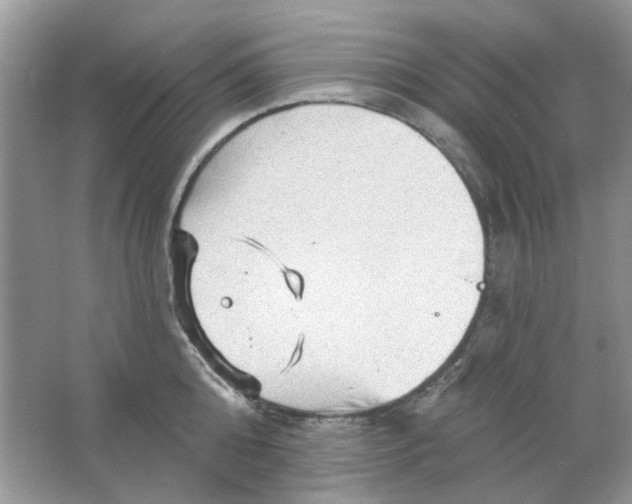 X0000065970808200603241912