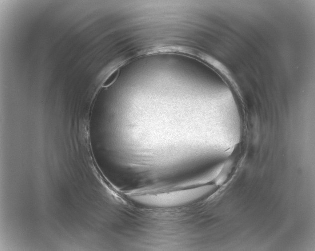 X0000065970809200603241912