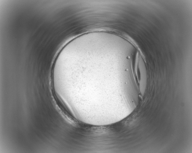 X0000065970811200603241911