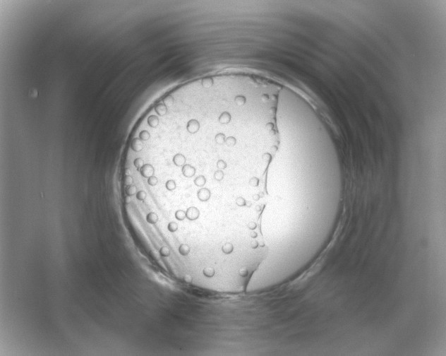 X0000065970814200603241911