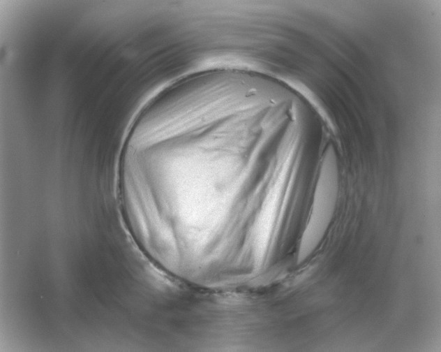 X0000065970815200603241911