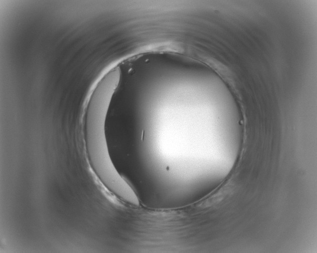 X0000065970816200603241911