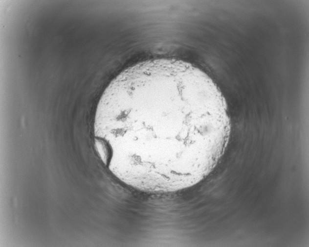 X0000065970817200603241911