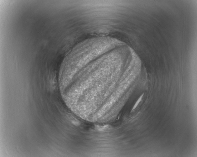 X0000065970818200603241911