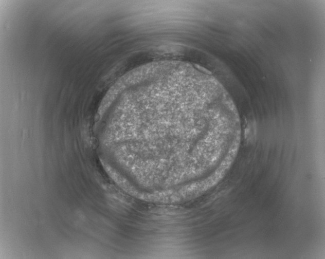 X0000065970819200603241911