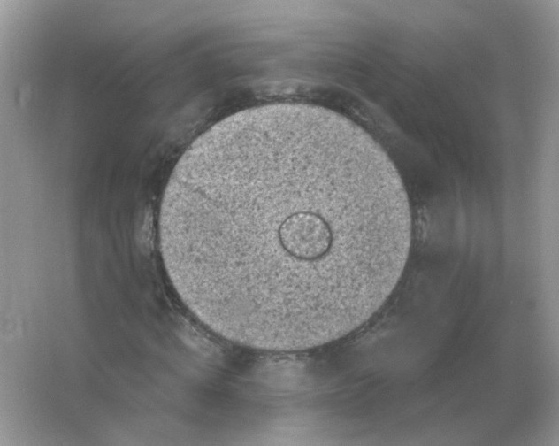 X0000065970820200603241911