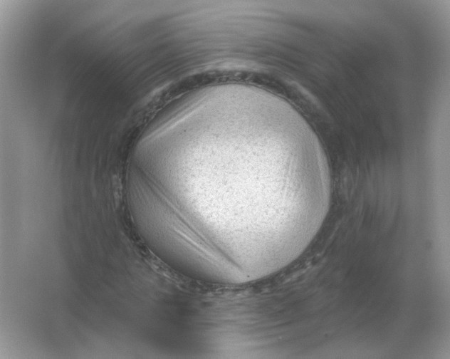 X0000065970821200603241911