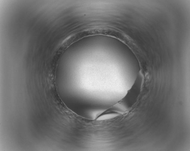 X0000065970822200603241911