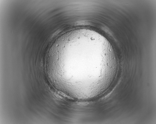 X0000065970825200603241911