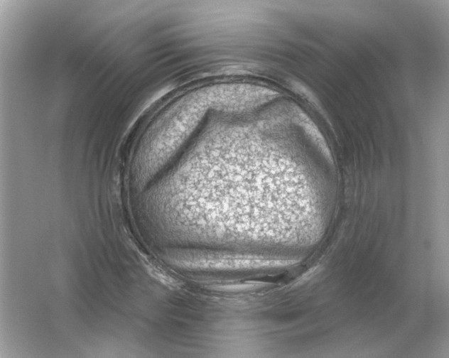 X0000065970827200603241911