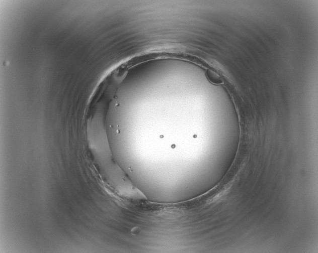 X0000065970830200603241911