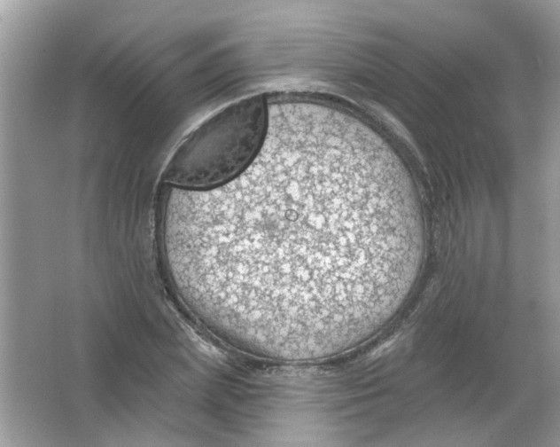 X0000065970831200603241911